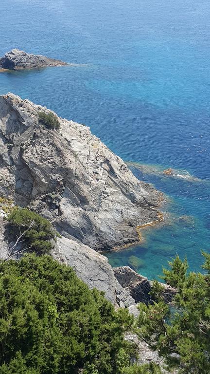 Hostellerie Provencale Île de Île de Port-Cros Zewnętrze zdjęcie