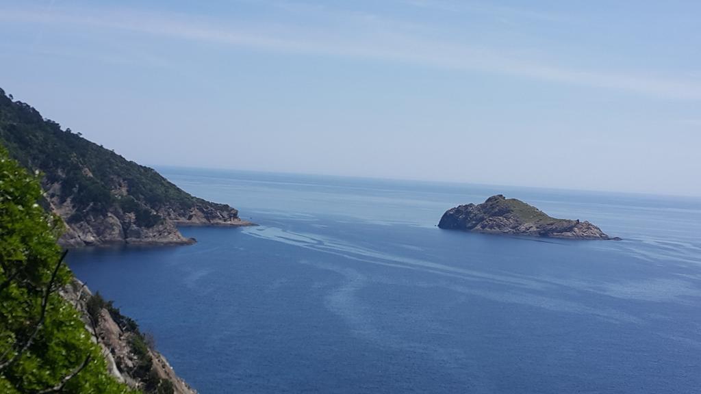Hostellerie Provencale Île de Île de Port-Cros Zewnętrze zdjęcie